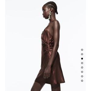 Zara Chocolate Dress